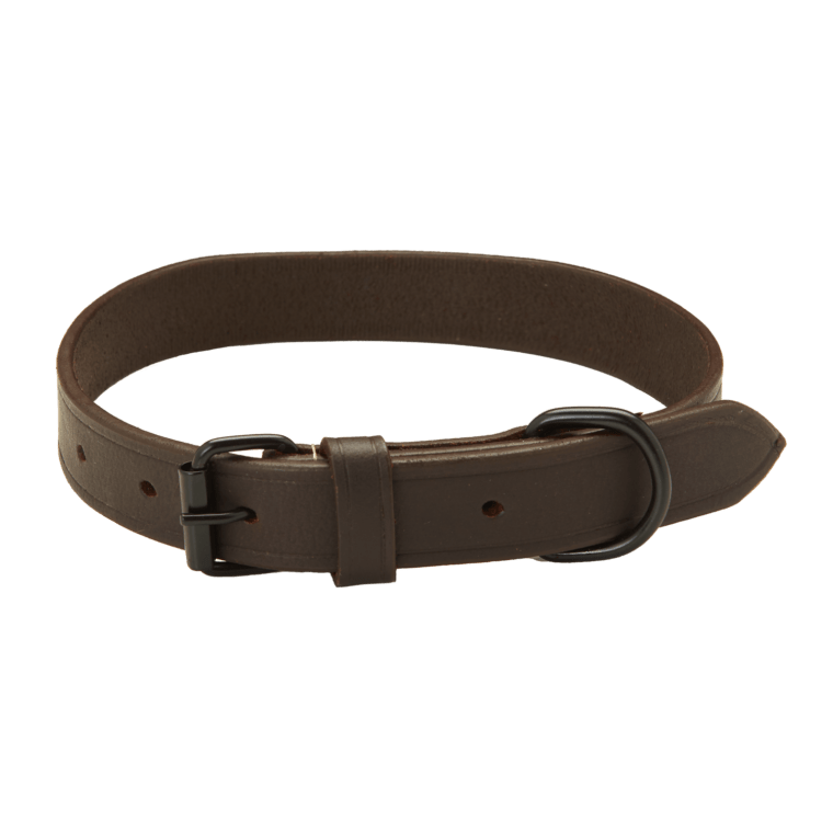Natural Leather Hunting Dog Collar